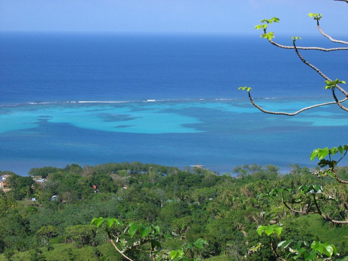 Roatan Bed & Breakfast Apartments West End Eksteriør billede
