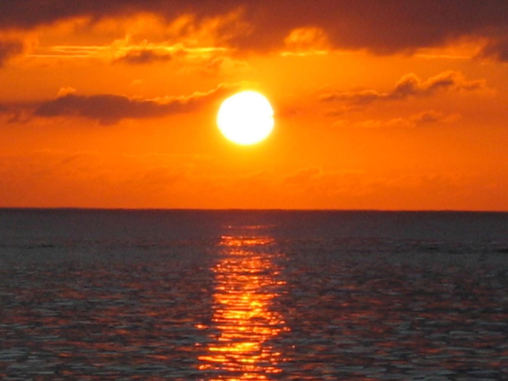 Roatan Bed & Breakfast Apartments West End Eksteriør billede