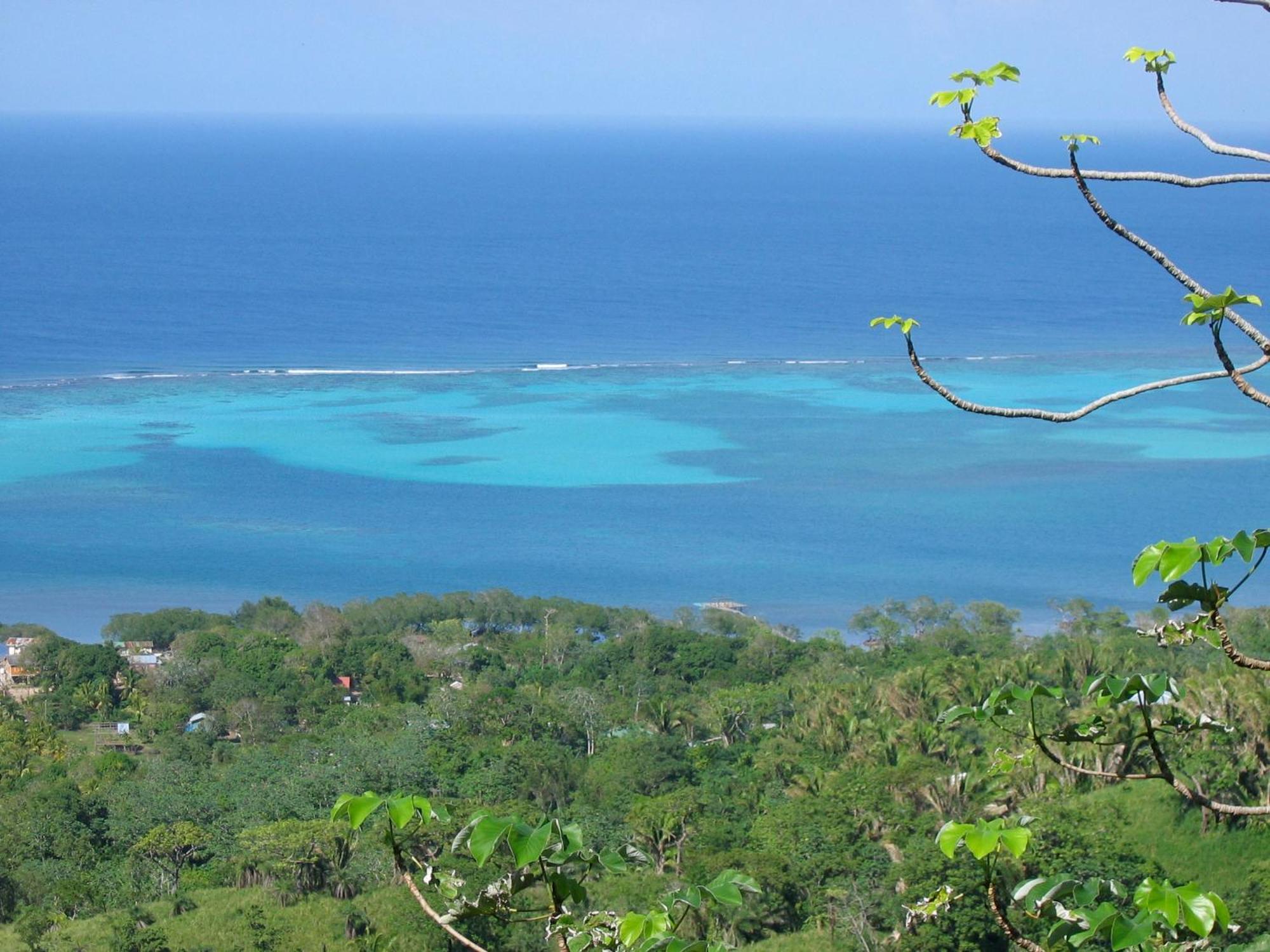 Roatan Bed & Breakfast Apartments West End Eksteriør billede