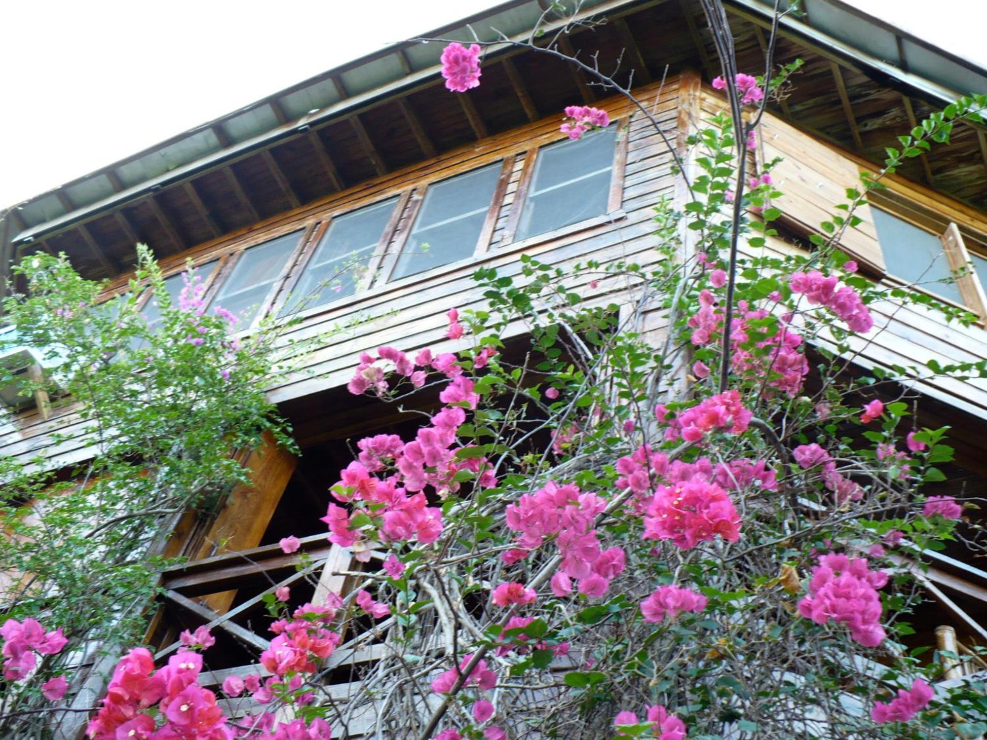 Roatan Bed & Breakfast Apartments West End Eksteriør billede