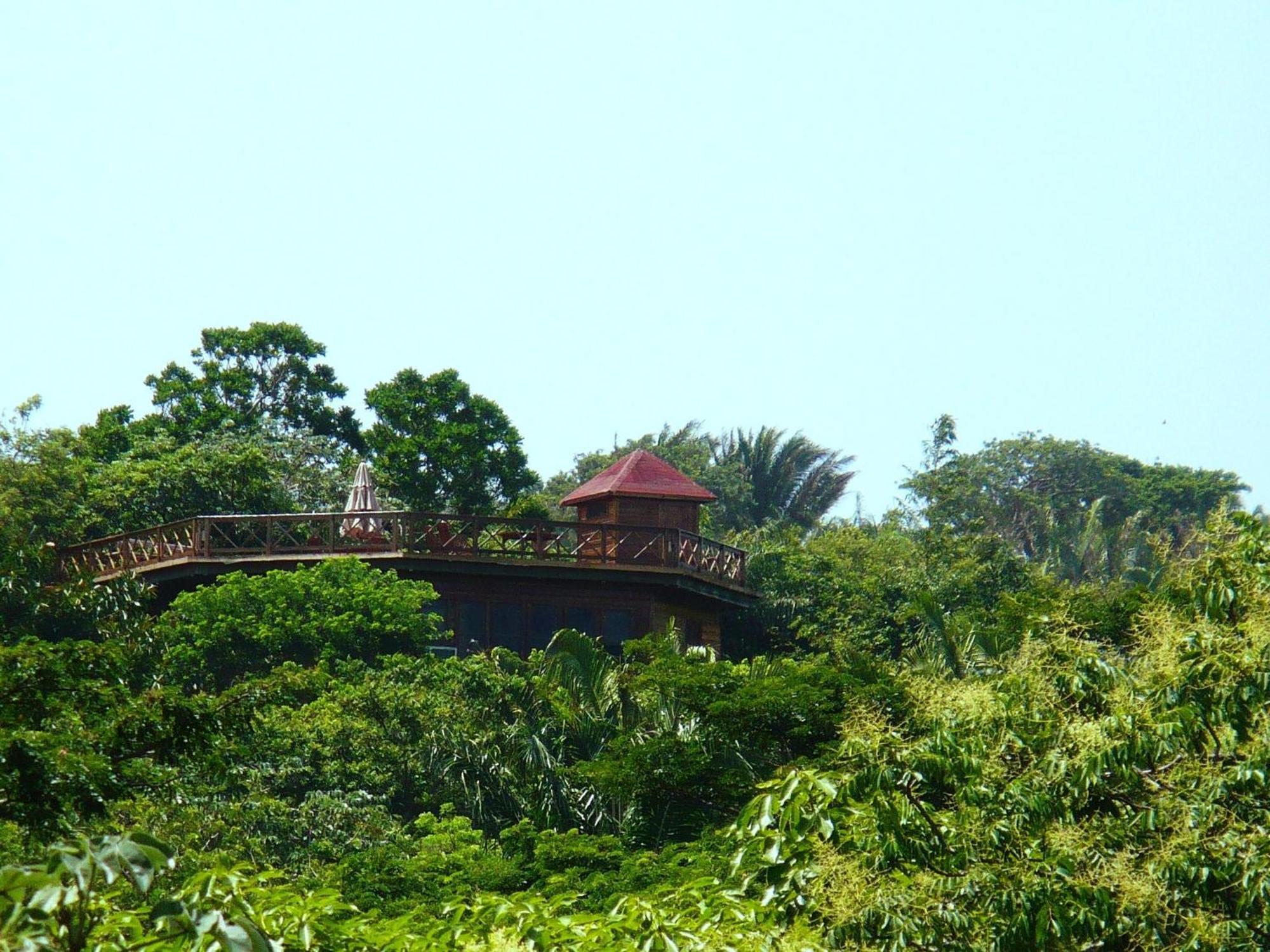 Roatan Bed & Breakfast Apartments West End Eksteriør billede