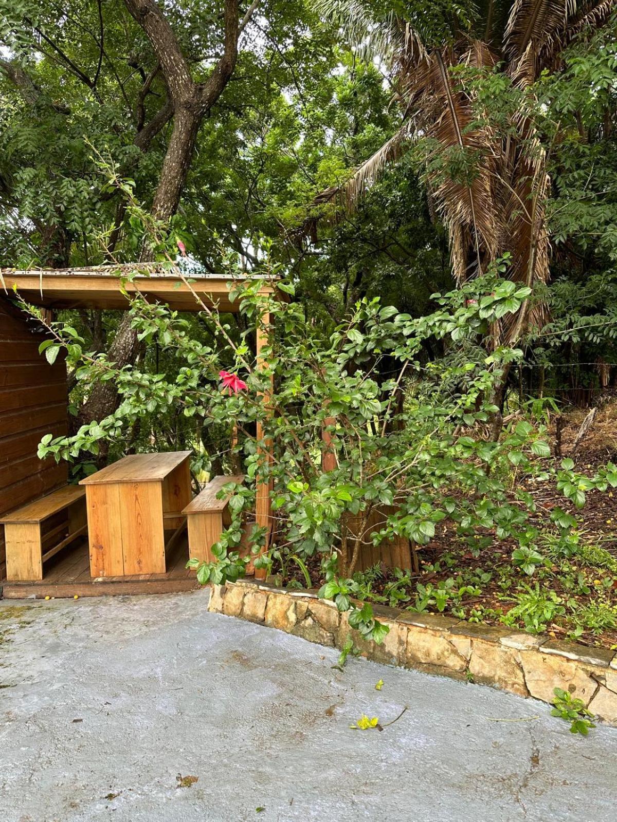 Roatan Bed & Breakfast Apartments West End Eksteriør billede